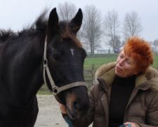 inekemetpaard
